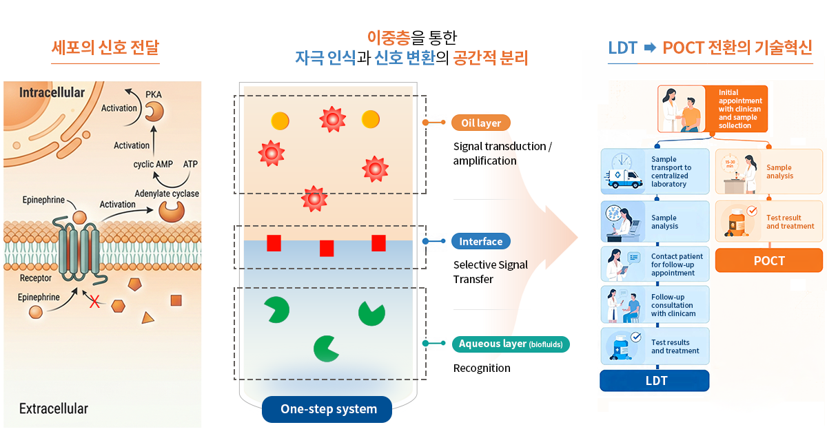 GAIA platform